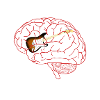 Unheilbar E-Gitarre