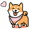 Shiba Inu * Shibalove *