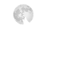 Wolf heult Mond an