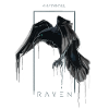 Raven art