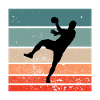 Handball handball player handball throw