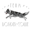 Team Border Collie - Blue Merle