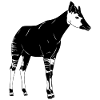 Okapi