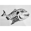 My beautiful sea bream