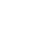 Bat skeleton