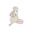 Papa rat