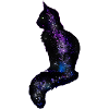 Galaxy Cat