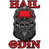 viking odin