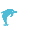 Dolphin dolphin