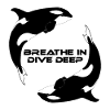 Orca Killerwale