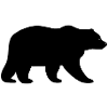 Black bear