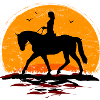 Ridning - Rytter - Rideskole - Hest - Sol