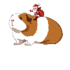 Cobaye et Père Noël