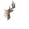 Keiler Wildschwein Hirsch Jäger