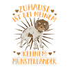 Kleiner Münsterländer