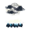Mystischer Vollmond über Nadelwald