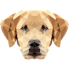 Chien Labrador Polygone