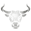 Bull bull