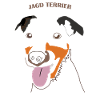 OBV – Jagd terrier #3