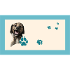 Ludo the dog