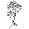 PineTree