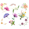 Motif floral