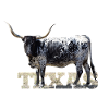 Texas Longhorns