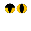 Inquiry eyes cool cat look