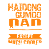 Haidong Gumdo