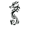 Seahorse | Animal