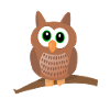 Owl cute owl