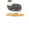 Black sheep