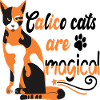 CALICO CATS ARE MAGICAL