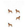 Bayerischer Gebirgsschweisshund Tricks BGS