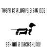Big Dachshund