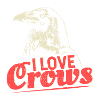 Crow soul bird