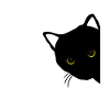 black cat eyes right