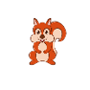 squirrel