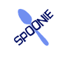Spoonie chronic illness warrior