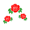 roses rouges