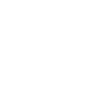 Satoshi Nakamoto