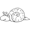 slug