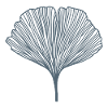 Ginko – Happiness Tree