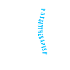 Physiotherapist Physiotherapy