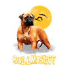 bullmastiff