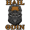 Hail Odin Vikings