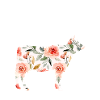Kuhflüsterin