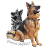 German Shepherd