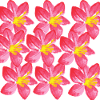 Aquarelle Fleur Rose Aquarelle Fleur