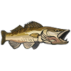 Zander (rovfisk) - stiliseret